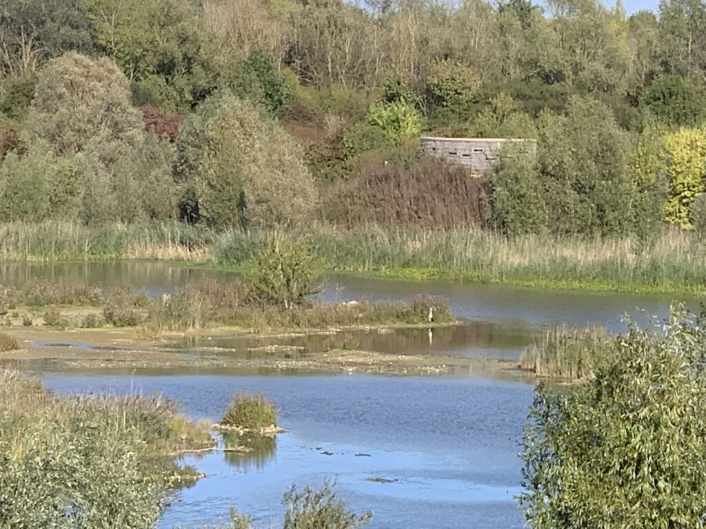 Le plan d'eau au parc de la Motte