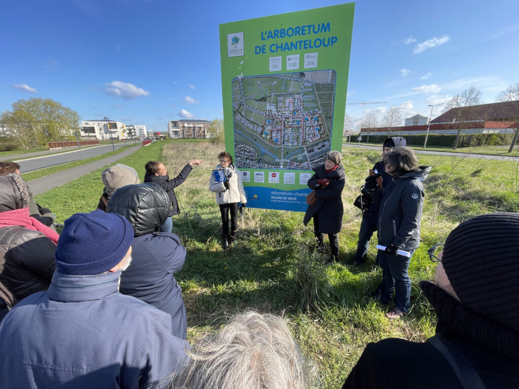 Balade urbaine dans le cadre du Plan local d'urbanisme dans le quartier de Chanteloup